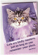 Cats Are Kindly Masters As Long As You Remember Your Place  - Paul Gray