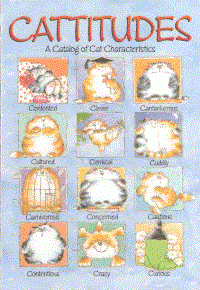 CATTITUDES A Catalog Of Cat Characteristics