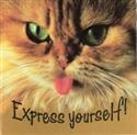 Express Yourself!