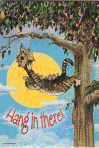 Hang In There! - Gary Patterson