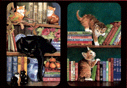 Well Read Cats - Cat On The Shelf & What Now